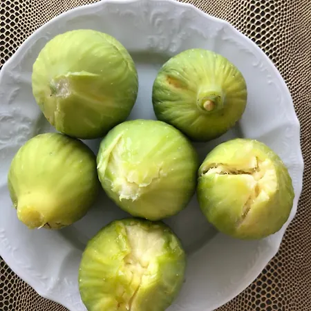 Via - Lemon Maslinica
